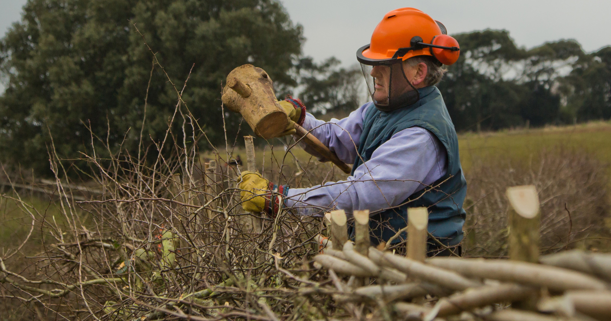 outdoor volunteering ideas