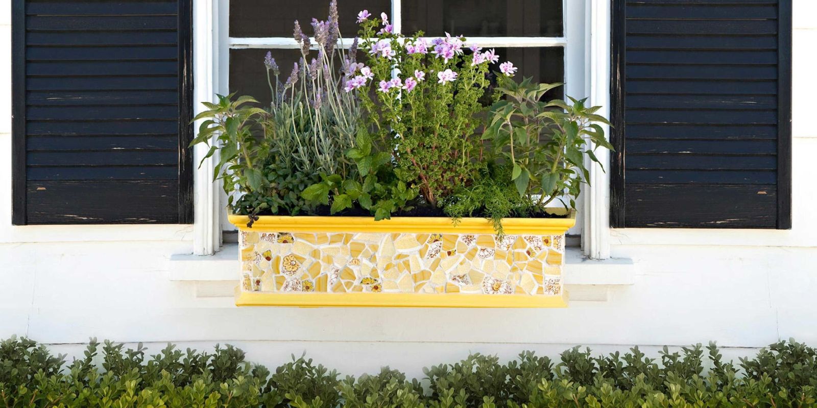 18 colourful gardening ideas for window boxes 18 colourful gardening ideas for window boxes