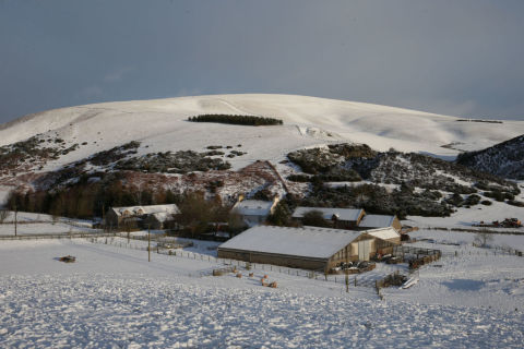 Snow scottish borders